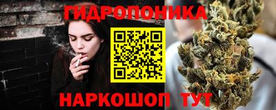 твердый Краснознаменск