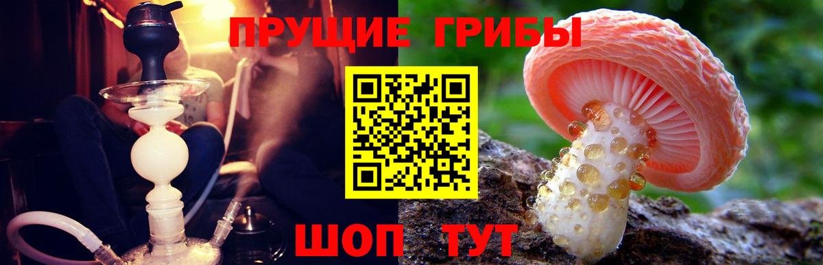 Псилоцибиновые грибы MAGIC MUSHROOMS  Вход с VPN  Избербаш 